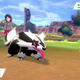 Image for article titled The Essentials From This Week's Pokémon Sword And Shield Interviews
